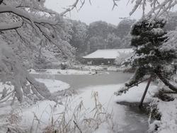 浄瑠璃寺