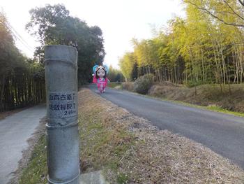 いづみ姫と山背古道