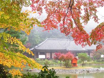 秋の浄瑠璃寺