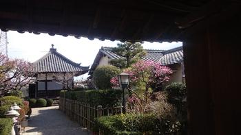 泉橋寺の境内