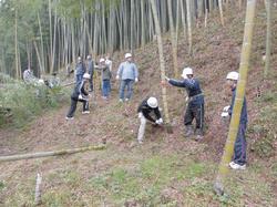 竹林整備作業の様子