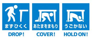 まずひくく、あたまをまもり、うごかない