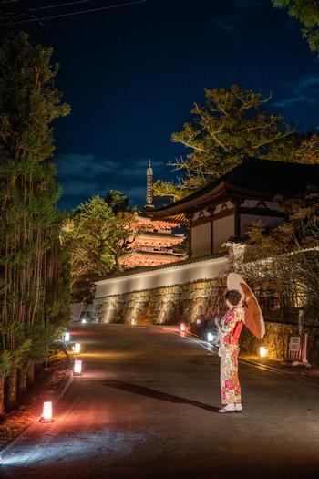 海住山寺ライトアップ