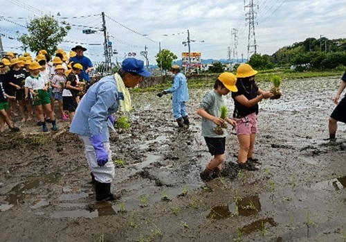 収穫体験の授業補助の様子1