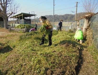 環境整備支援の様子3