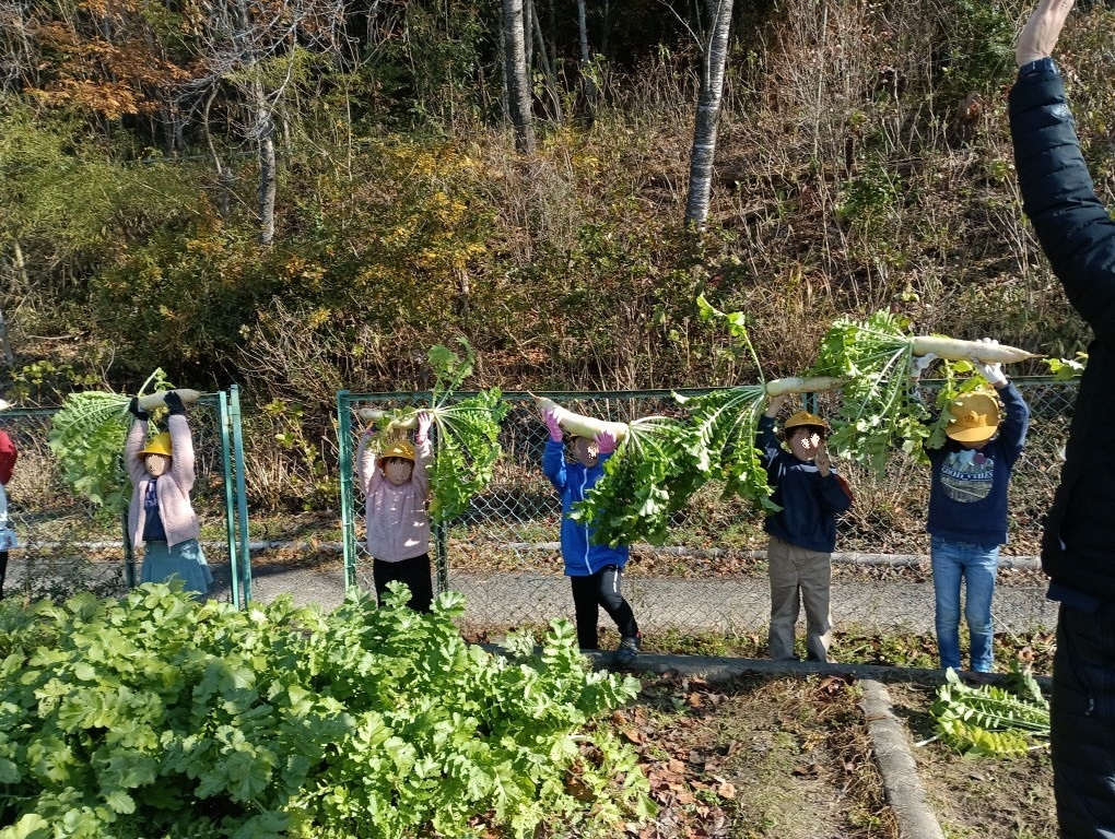 収穫体験の授業補助の様子2